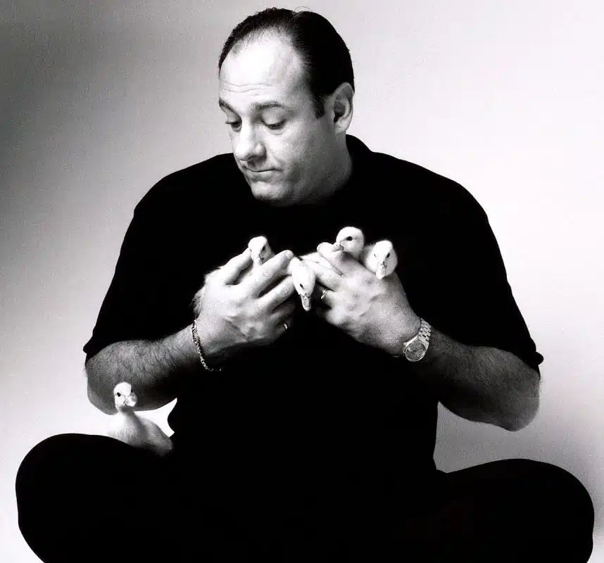 TONY SOPRANO ROLEY