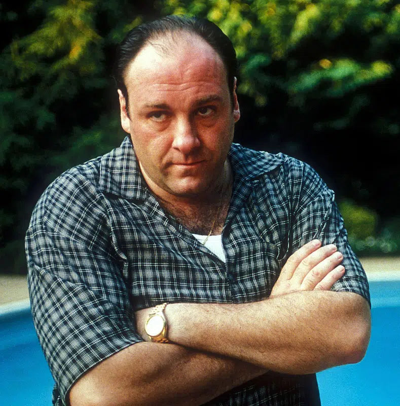 TONY SOPRANO ROLEY